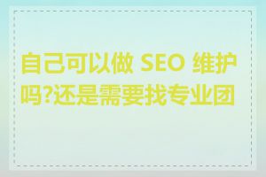 自己可以做 SEO 维护吗?还是需要找专业团队