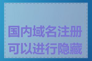 国内域名注册可以进行隐藏吗