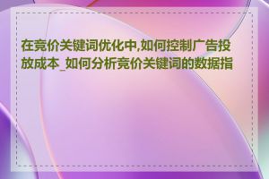 在竞价关键词优化中,如何控制广告投放成本_如何分析竞价关键词的数据指标