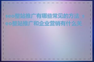 seo整站推广有哪些常见的方法_seo整站推广和企业营销有什么关系
