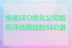快速SEO优化公司如何评估网站的SEO潜力