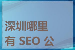 深圳哪里有 SEO 公司