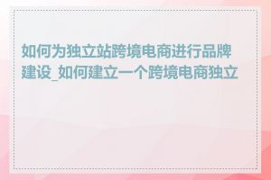 如何为独立站跨境电商进行品牌建设_如何建立一个跨境电商独立站