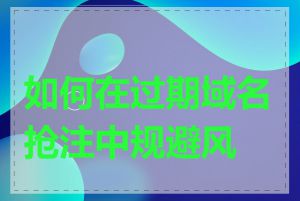 如何在过期域名抢注中规避风险