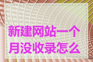 新建网站一个月没收录怎么办