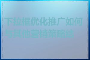 下拉框优化推广如何与其他营销策略结合