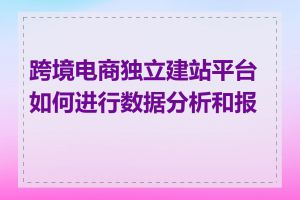 跨境电商独立建站平台如何进行数据分析和报告