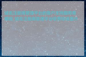 域名注册商管理平台的客户支持服务有哪些_域名注册商管理平台收费标准是什么