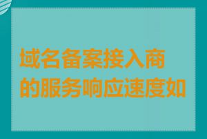 域名备案接入商的服务响应速度如何