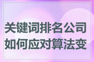 关键词排名公司如何应对算法变化