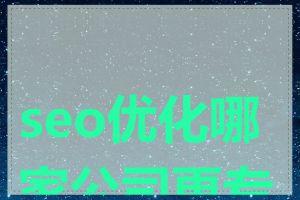 seo优化哪家公司更专业