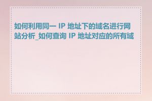 如何利用同一 IP 地址下的域名进行网站分析_如何查询 IP 地址对应的所有域名