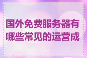 国外免费服务器有哪些常见的运营成本