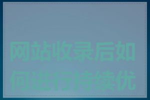 网站收录后如何进行持续优化