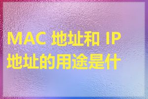 MAC 地址和 IP 地址的用途是什么