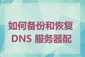 如何备份和恢复 DNS 服务器配置