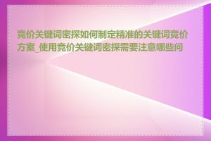 竞价关键词密探如何制定精准的关键词竞价方案_使用竞价关键词密探需要注意哪些问题