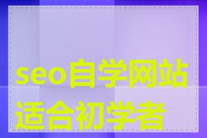 seo自学网站适合初学者吗