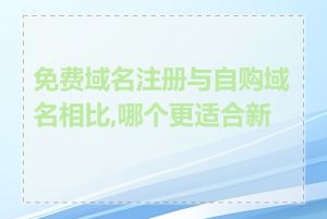 免费域名注册与自购域名相比,哪个更适合新手