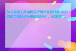 SEO查询工具如何分析网站竞争对手_SEO查询工具如何分析网站的H1、H2标题优化
