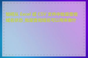 如何从 Excel 或 CSV 文件中批量查询域名状态_批量查询域名可以用来做什么