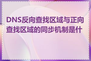 DNS反向查找区域与正向查找区域的同步机制是什么