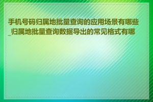 手机号码归属地批量查询的应用场景有哪些_归属地批量查询数据导出的常见格式有哪些
