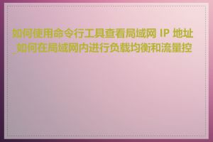 如何使用命令行工具查看局域网 IP 地址_如何在局域网内进行负载均衡和流量控制