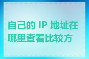 自己的 IP 地址在哪里查看比较方便