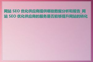 网站 SEO 优化供应商提供哪些数据分析和报告_网站 SEO 优化供应商的服务是否能够提升网站的转化率