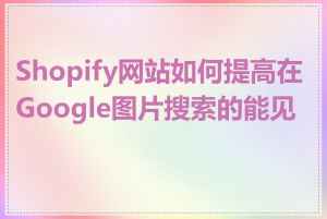 Shopify网站如何提高在Google图片搜索的能见度