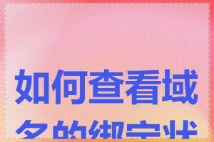 如何查看域名的绑定状态