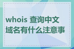 whois 查询中文域名有什么注意事项