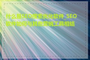 什么是SEO搜索优化软件_SEO软件如何与其他营销工具相结合