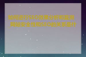 如何进行SEO效果分析和监测_网站安全性和SEO的关系是什么