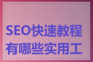 SEO快速教程有哪些实用工具
