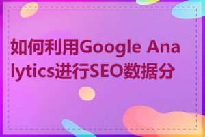 如何利用Google Analytics进行SEO数据分析