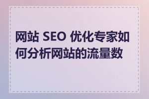 网站 SEO 优化专家如何分析网站的流量数据