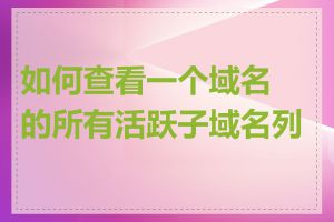 如何查看一个域名的所有活跃子域名列表