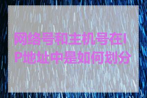 网络号和主机号在IP地址中是如何划分的