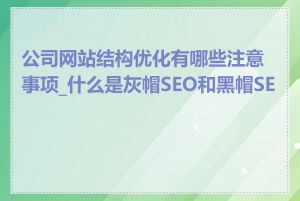 公司网站结构优化有哪些注意事项_什么是灰帽SEO和黑帽SEO