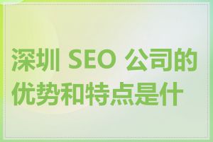 深圳 SEO 公司的优势和特点是什么