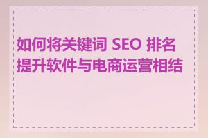 如何将关键词 SEO 排名提升软件与电商运营相结合