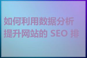 如何利用数据分析提升网站的 SEO 排名