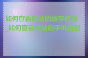 如何查看网站的缓存信息_如何查看网站的手机适配性