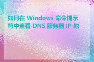 如何在 Windows 命令提示符中查看 DNS 服务器 IP 地址