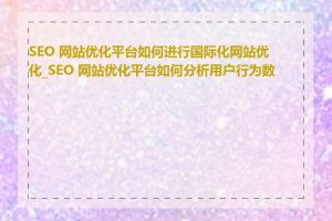SEO 网站优化平台如何进行国际化网站优化_SEO 网站优化平台如何分析用户行为数据