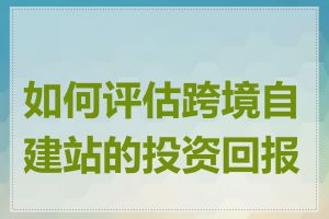 如何评估跨境自建站的投资回报率