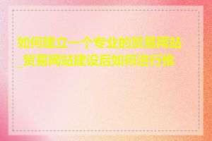 如何建立一个专业的贸易网站_贸易网站建设后如何进行推广