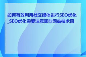 如何有效利用社交媒体进行SEO优化_SEO优化需要注意哪些网站技术因素